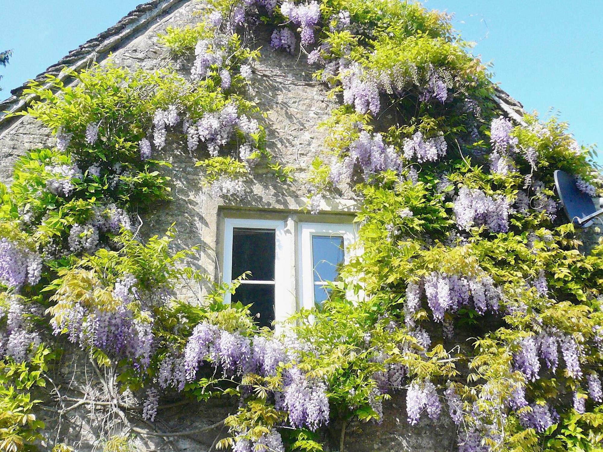 Ivy Cottage Chedworth Экстерьер фото